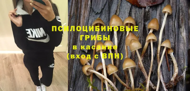 продажа наркотиков  Тарко-Сале  Галлюциногенные грибы Magic Shrooms 